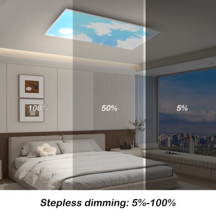 Brilagi - LED стельовий світильник з регулюванням яскравості SLIMFRAME SKY LED/80W/230V 120x60 cm 3000-6000K сріблястий/синій + дистанційне керування