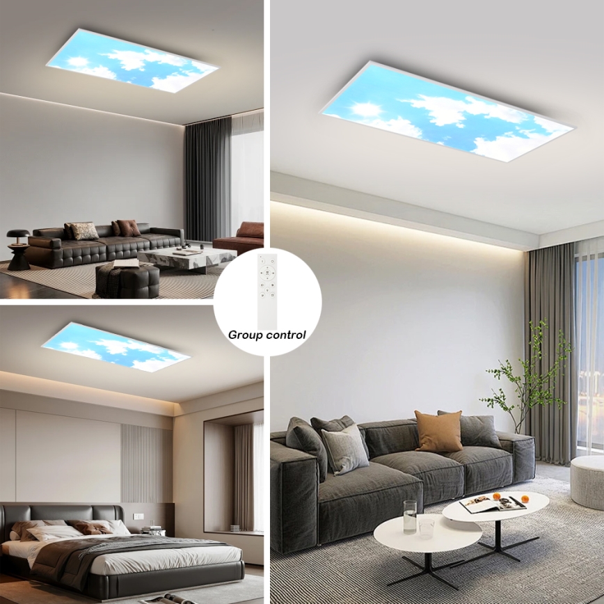 Brilagi - LED стельовий світильник з регулюванням яскравості SLIMFRAME SKY LED/80W/230V 120x60 cm 3000-6000K сріблястий/синій + дистанційне керування