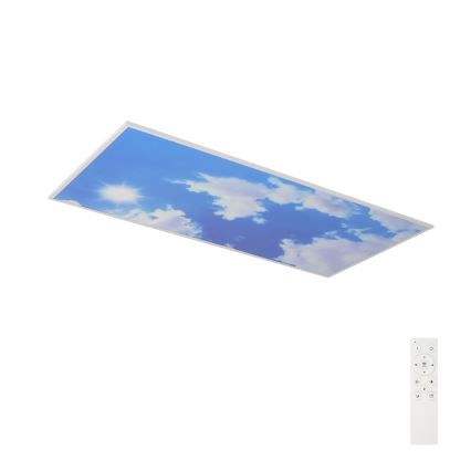 Brilagi - LED стельовий світильник з регулюванням яскравості SLIMFRAME SKY LED/80W/230V 120x60 cm 3000-6000K сріблястий/синій + дистанційне керування