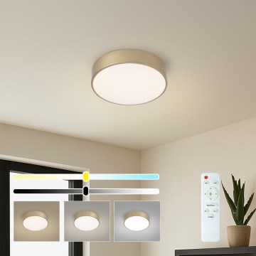 BRILAGI - LED стельовий світильник з регульованою яскравістю POOL LED/24W/230V 3000-6000K діаметром 20 см золотистий + дистанційне керування