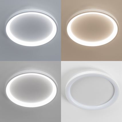 Brilagi - LED стельовий світильник з регульованою яскравістю FALCON SLIM LED/42 Вт/230 В 3000–6500 К діаметр 50 см білий + пульт дистанційного керування