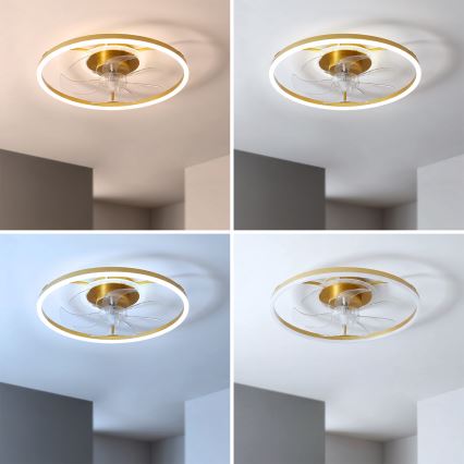 Brilagi - LED затемнюваний стельовий вентилятор LED/66W/230V, 55 см, білий/золотий + пульт дистанційного керування