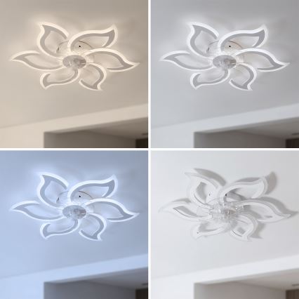 Brilagi - димований LED стельовий вентилятор LED/34W/230V 3000-6500K діам. 83 см білий + пульт дистанційного керування