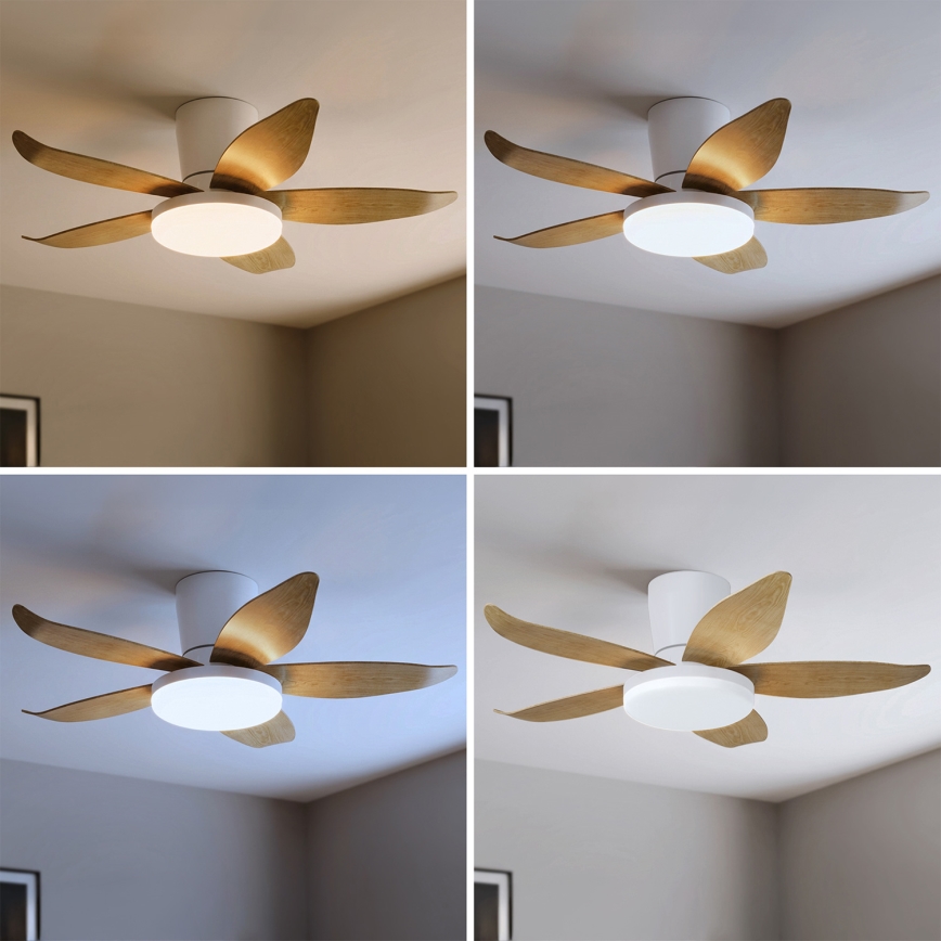 Brilagi - LED стельовий вентилятор з регульованою яскравістю LED/32W/230V 3000-6500K діам. 95 см білий/коричневий + дистанційне керування
