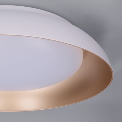 Brilagi - регульований світлодіодний стельовий світильник ALVA LED/48W/230V 3000-6500K, діаметр 51 cm, білий + пульт дистанційного керування