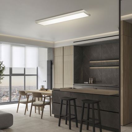 Brilagi - Стельовий LED світильник для ванної з регулюванням яскравості FRAME SMART LED/50W/230V 120x30 cm 3000-6000K IP44 срібло + пульт дистанційного керування