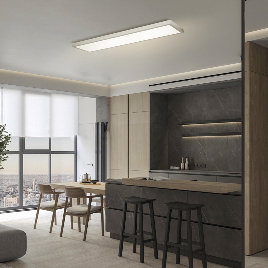 Brilagi - Стельовий LED світильник для ванної з регулюванням яскравості FRAME SMART LED/50W/230V 120x30 cm 3000-6000K IP44 срібло + пульт дистанційного керування