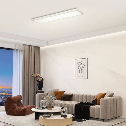 Brilagi - Стельовий LED світильник для ванної з регулюванням яскравості FRAME SMART LED/50W/230V 120x30 cm 3000-6000K IP44 срібло + пульт дистанційного керування