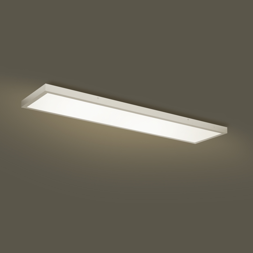Brilagi - Стельовий LED світильник для ванної з регулюванням яскравості FRAME SMART LED/50W/230V 120x30 cm 3000-6000K IP44 срібло + пульт дистанційного керування