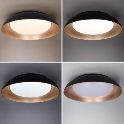 Brilagi - LED стельовий світильник ALVA з регулюванням яскравості LED/48W/230V 3000-6500K, діаметр 51 см, чорний + пульт дистанційного керування