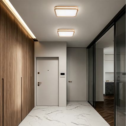 BRILAGI - стельовий LED‑світильник із регулюванням яскравості MOLINA SQUARE LED/48W/230V 3000-6000K дуб 40x40 cm + пульт дистанційного керування