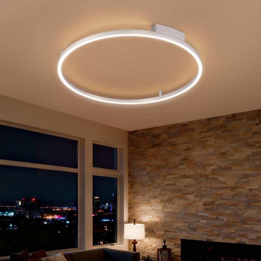 Brilagi - сучасний регульований LED стельовий світильник PORTOFINO LED/60W/230V зі змінною температурою світла 3000-6000K, діаметр 80 см, сріблястий + пульт дистанційного керування