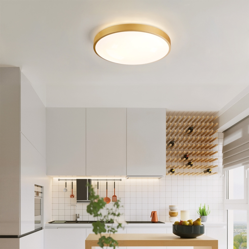 Брілагі - LED регульований стельовий світильник GLASS POOL DOUBLE LED/48W/230V 3000-6000K 40 см золотий + пульт дистанційного керування