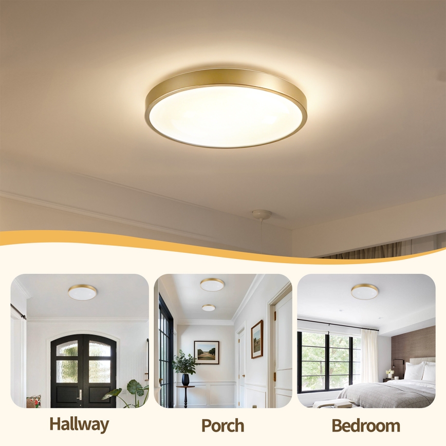 Брілагі - LED регульований стельовий світильник GLASS POOL DOUBLE LED/48W/230V 3000-6000K 40 см золотий + пульт дистанційного керування