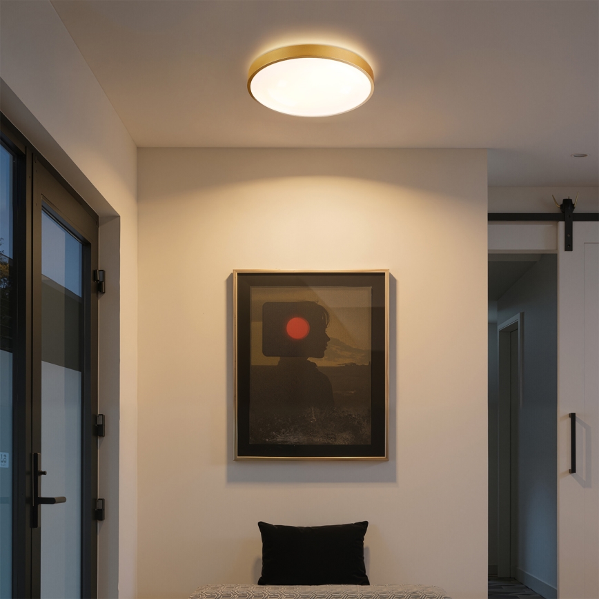 Брілагі - LED регульований стельовий світильник GLASS POOL DOUBLE LED/48W/230V 3000-6000K 40 см золотий + пульт дистанційного керування