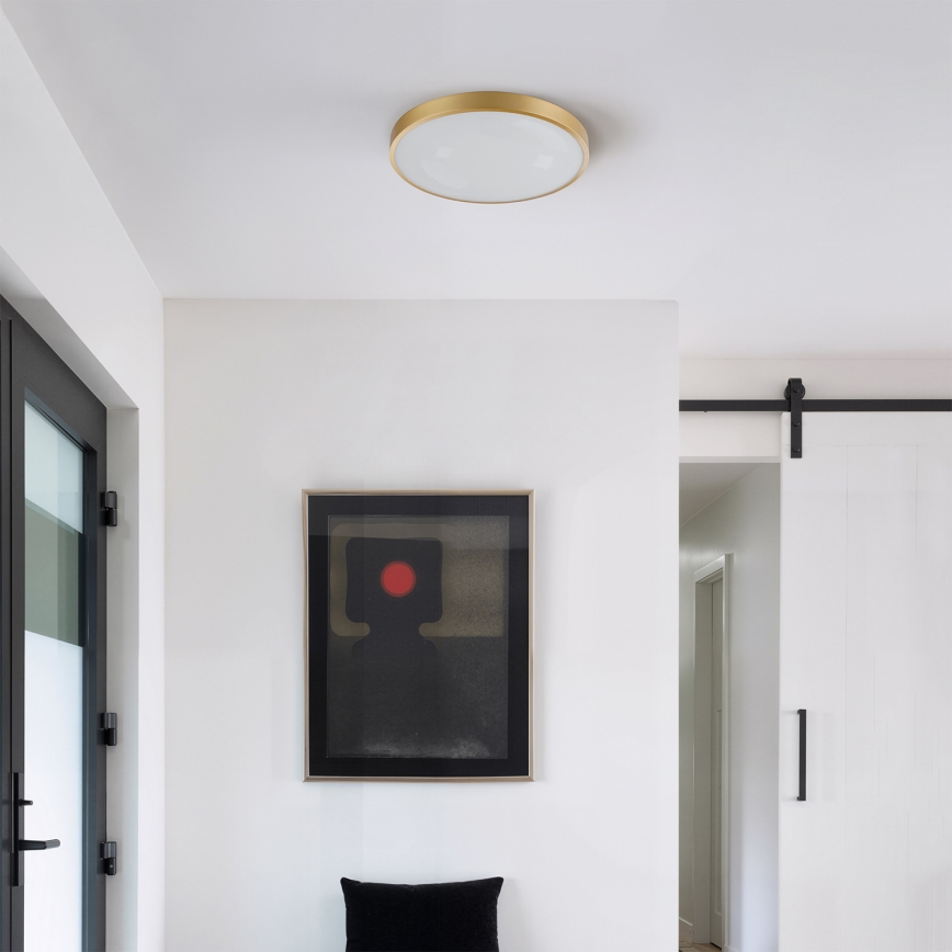 Брілагі - LED регульований стельовий світильник GLASS POOL DOUBLE LED/48W/230V 3000-6000K 40 см золотий + пульт дистанційного керування