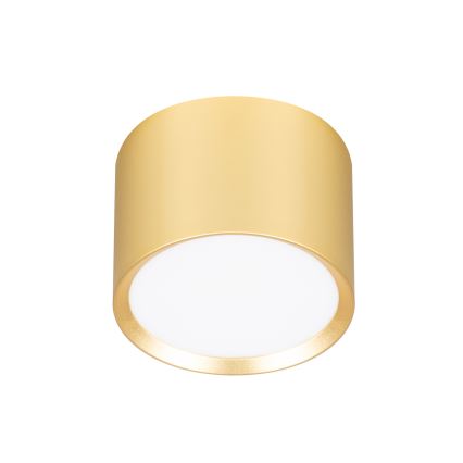 Brilagi - LED Точечный светильник SMOOTH 1xGX53/15W/230V золотой