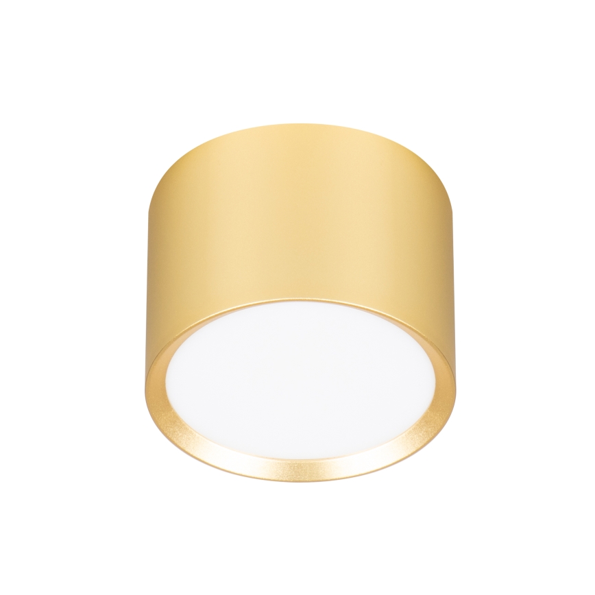 Brilagi - LED Точечный светильник SMOOTH 1xGX53/15W/230V золотой