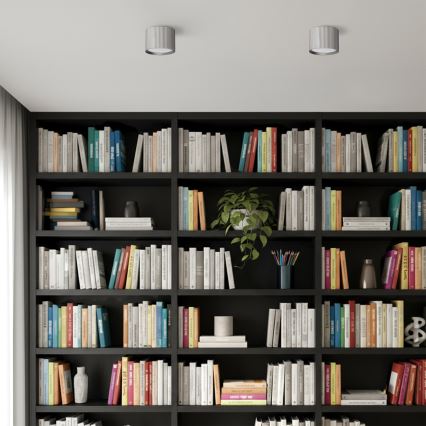 Brilagi - LED Точечный светильник STRIPY 1xGX53/15W/230V серебристый