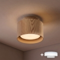 BRILAGI - LED точковий світильник BACKLIT 1xGX53/15W/230V + LED/3W, діаметр 10 см, декор дуба