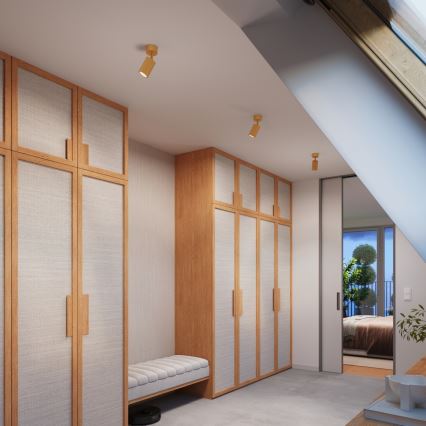 Brilagi - LED точковий світильник CRESTO 1xGU10/10W/230V золотий