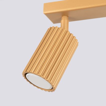 Brilagi - LED точковий світильник CRESTO 2xGU10/10W/230V золотистий