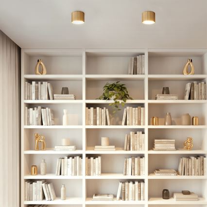 BRILAGI - LED Точковий світильник STRIPY 1xGX53/15W/230V 60x82 mm золотистий