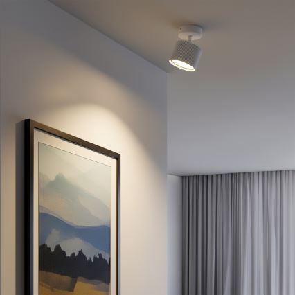 Brilagi - LED Точковий світильник STRIPY 1xGX53/15W/230V білий