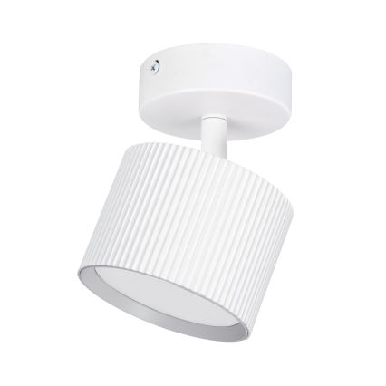 Brilagi - LED Точковий світильник STRIPY 1xGX53/15W/230V білий