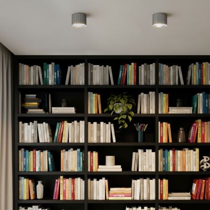 Brilagi - LED Точковий світильник STRIPY 1xGX53/15W/230V сріблястий