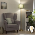 BRILAGI - LED торшер CERIA 1xE27/20W/230V диам. 30 см зелёная/золотая