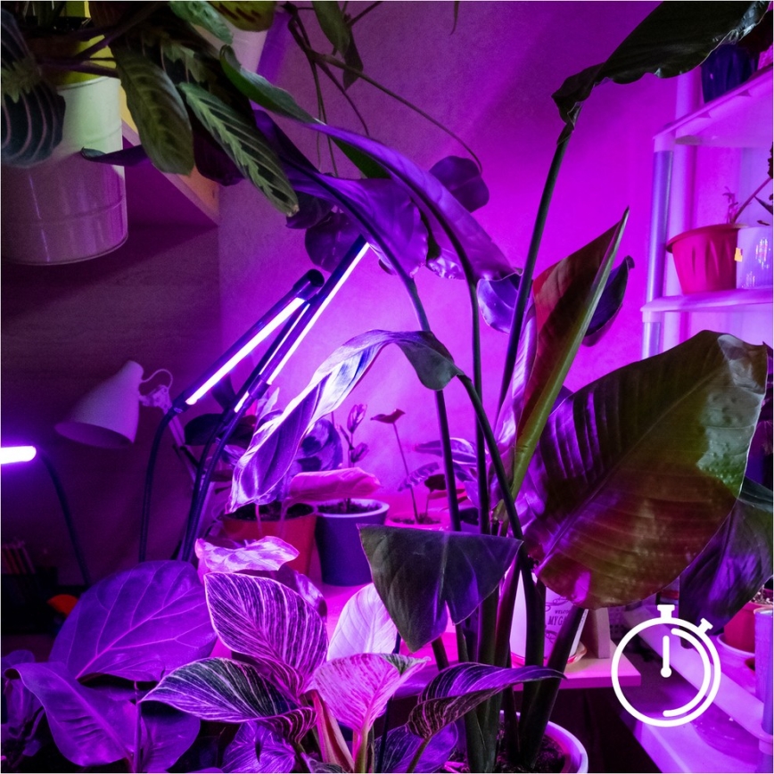 Brilagi - LED Гнучкий торшер для вирощування рослин з регулюванням яскравості VITABLOOM 4xLED/7,5W/230V чорний