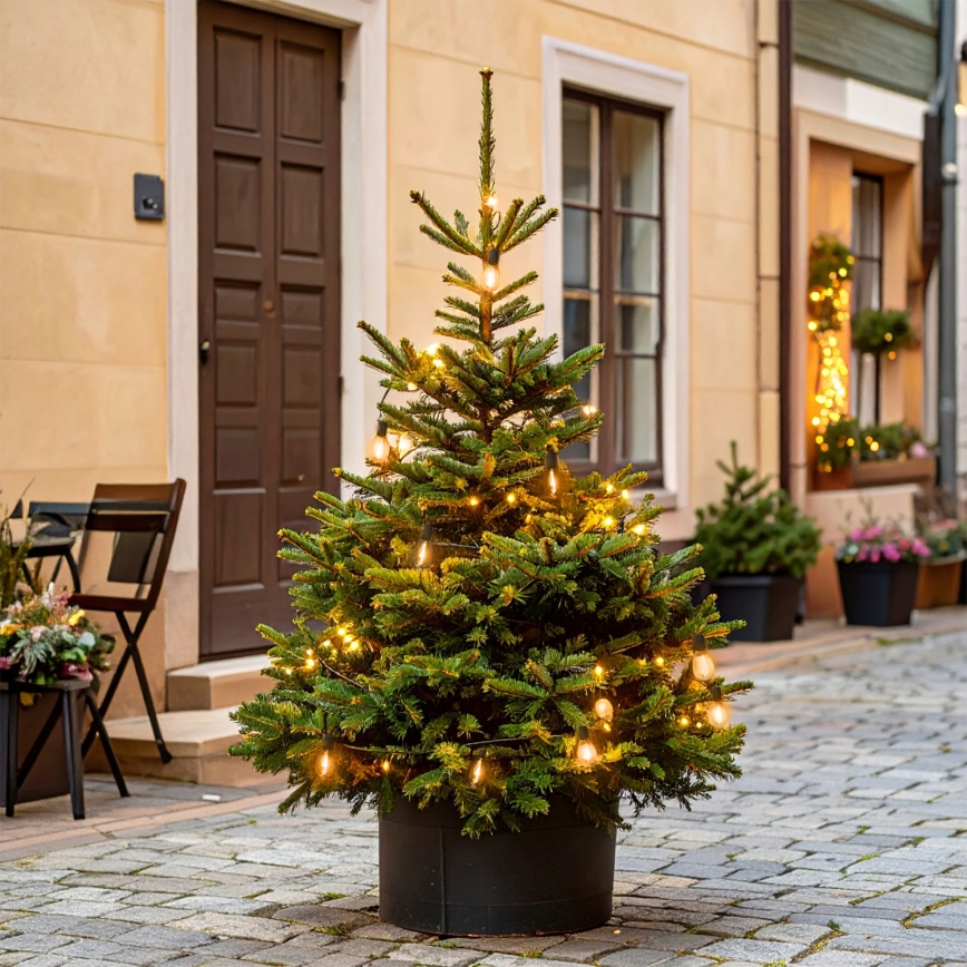 Brilagi - LED уличная гирлянда 10xLED/3xAA 3,2 м IP44 тёплый белый