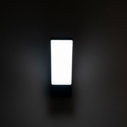 BRILAGI - LED уличный настенный светильник ARCELO LED/12W/230V IP65 черный