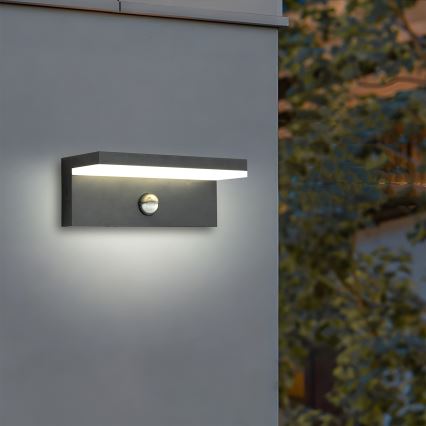 BRILAGI - LED уличный настенный светильник с датчиком TESSI LED/10W/230V, антрацит, IP54
