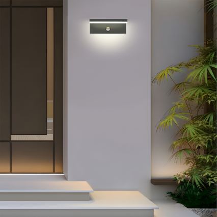 BRILAGI - LED уличный настенный светильник с датчиком TESSI LED/10W/230V, антрацит, IP54