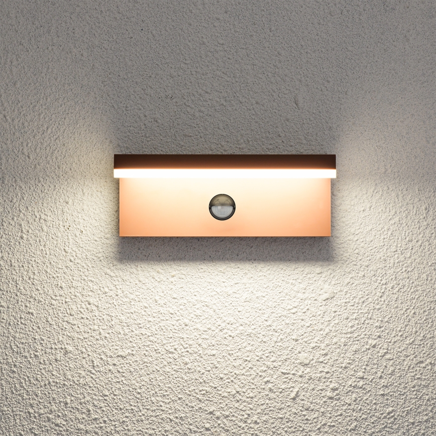 Brilagi - LED наружный настенный светильник с датчиком TESSI LED/10W/230V коричневый IP54