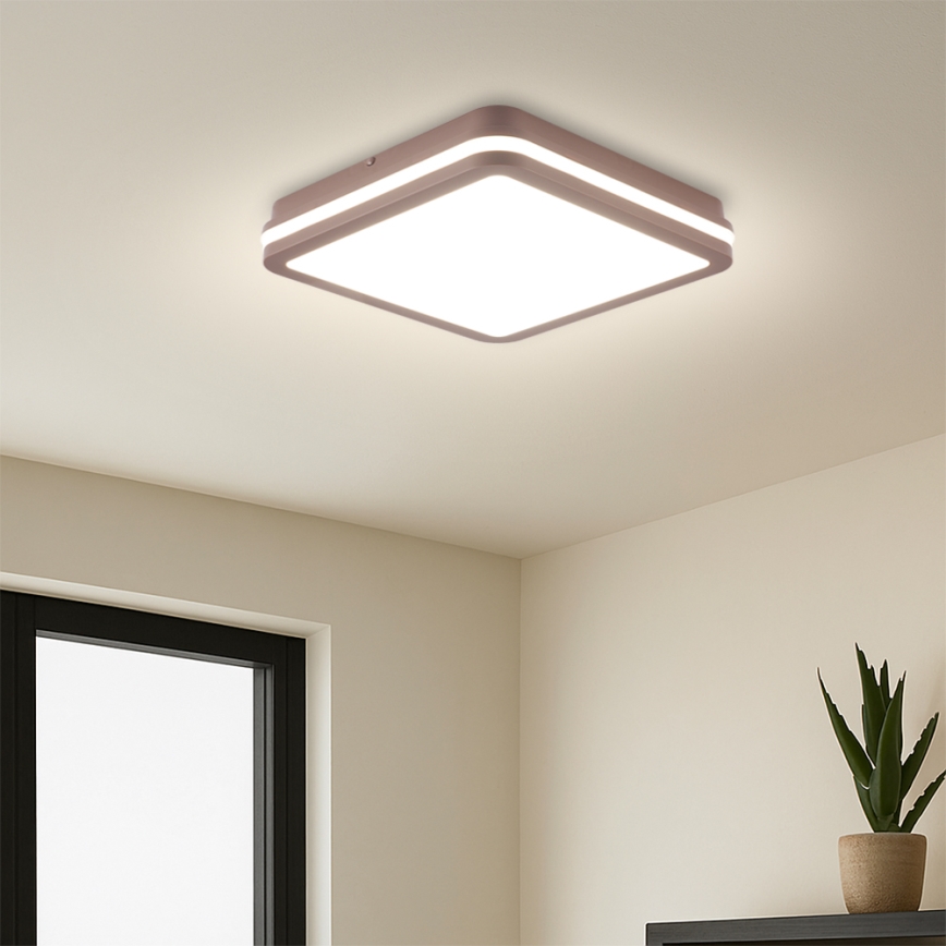 Brilagi - уличный потолочный светильник BENE LED/24W/230V 26x26 см коричневый IP54