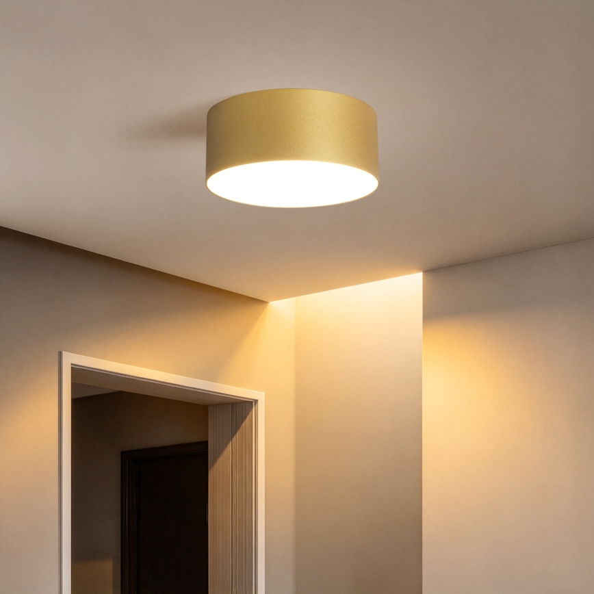 BRILAGI - LED Уличный потолочный светильник FORIS LED/20W/230V Ø 15 см золотой IP44