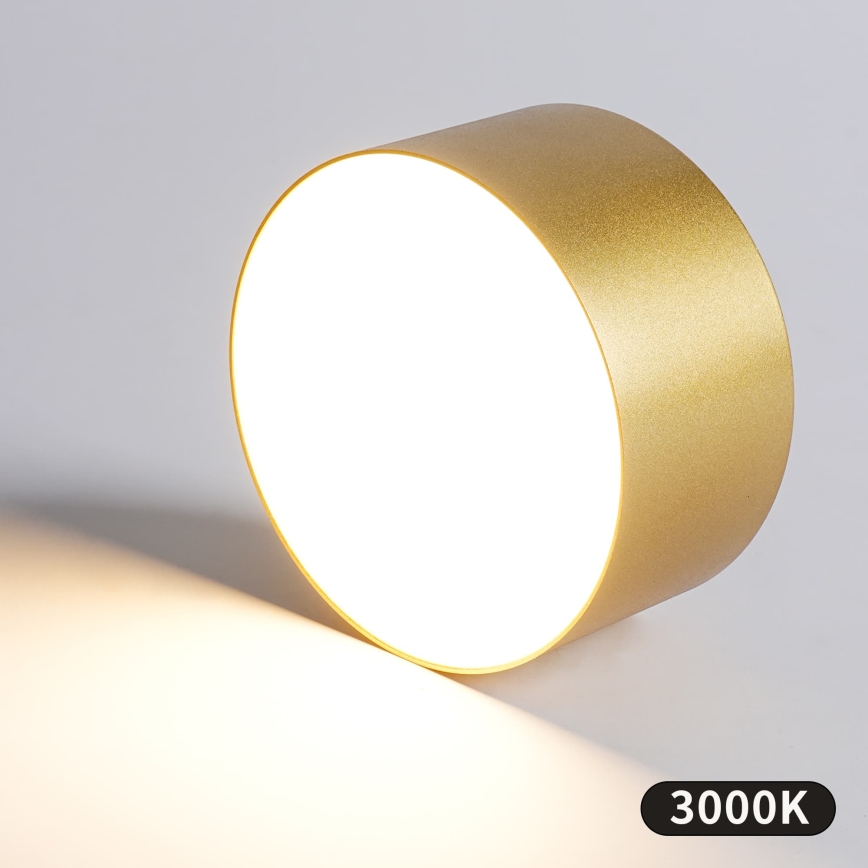 BRILAGI - LED Уличный потолочный светильник FORIS LED/20W/230V Ø 15 см золотой IP44
