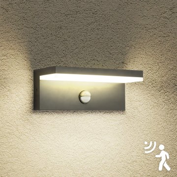 Brilagi - LED уличный настенный светильник с датчиком TESSI LED/10W/230V, антрацит, IP54