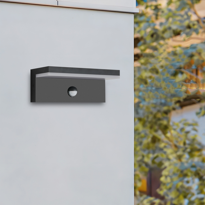 Brilagi - LED наружный настенный светильник с датчиком TESSI LED/10 Вт/230 В черный IP54