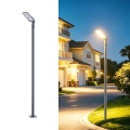 Brilagi - LED вуличний ліхтар зі стовпом та шарніром 3 м URBANLIGHT LED/50 Вт/230 В антрацит IP65
