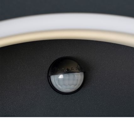 Brilagi - LED зовнішній настінний світильник з датчиком ARCELO LED/8W/230V IP54