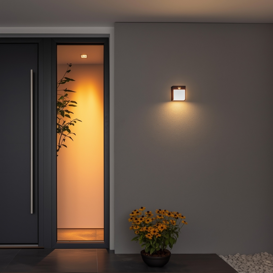 Brilagi - Зовнішній настінний світильник з LED і сенсором TERNI LED/12W/230V чорний IP44