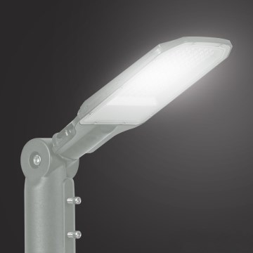 Brilagi - LED вуличний світильник URBANLIGHT LED/50W/230V сірий IP65