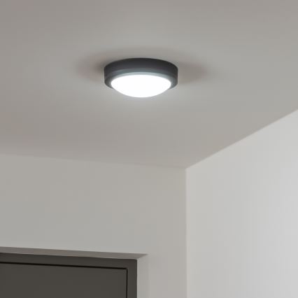 Brilagi - Вуличний світильник на стелю LED/13W/230V діам. 17 см IP54 антрацит