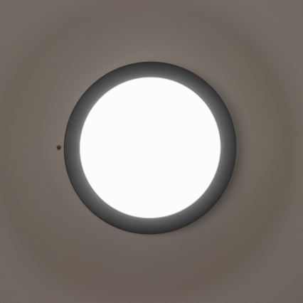 Brilagi - Вуличний світильник на стелю LED/13W/230V діам. 17 см IP54 антрацит