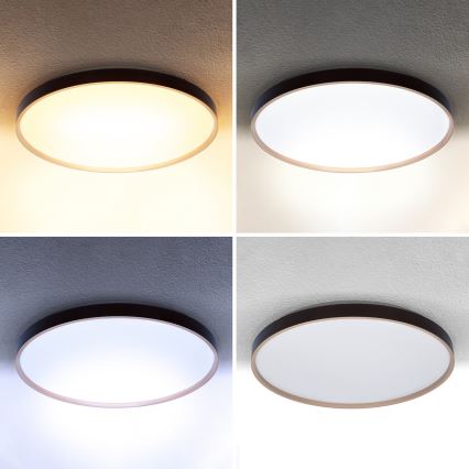 Брілагі - затемнюваний світлодіодний стельовий світильник КАЛА LED/60W/230V 3000-6500K діаметр 58 см + пульт дистанційного керування