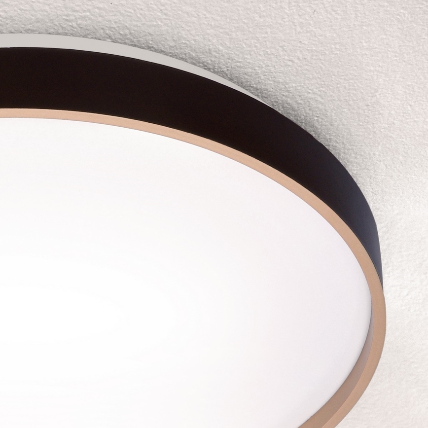 Брілагі - затемнюваний світлодіодний стельовий світильник КАЛА LED/60W/230V 3000-6500K діаметр 58 см + пульт дистанційного керування